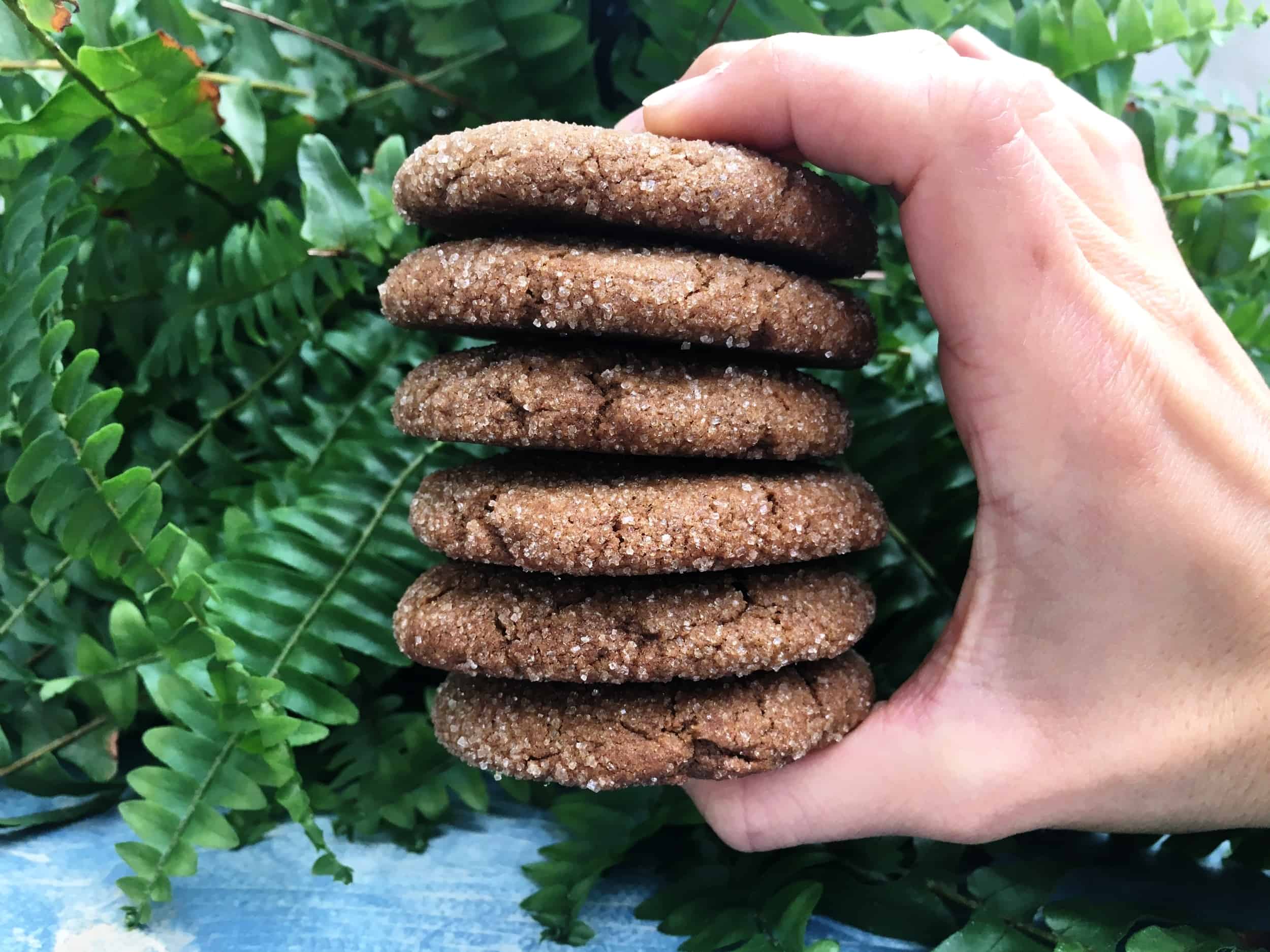 Double Spiced Molasses Cookies