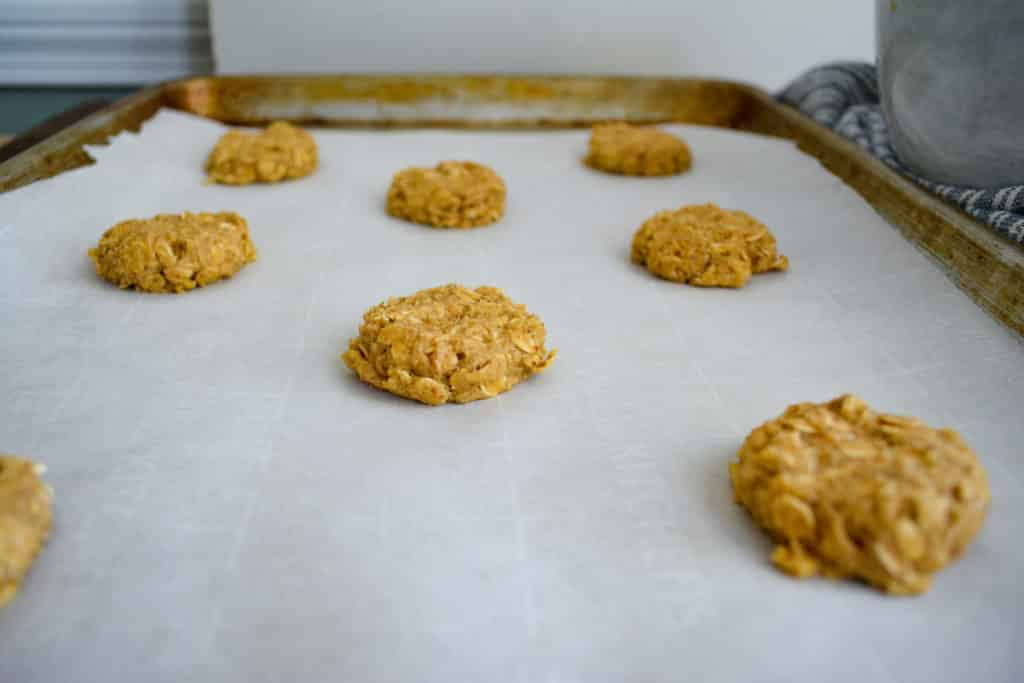Pressed down oatmeal cookie dough