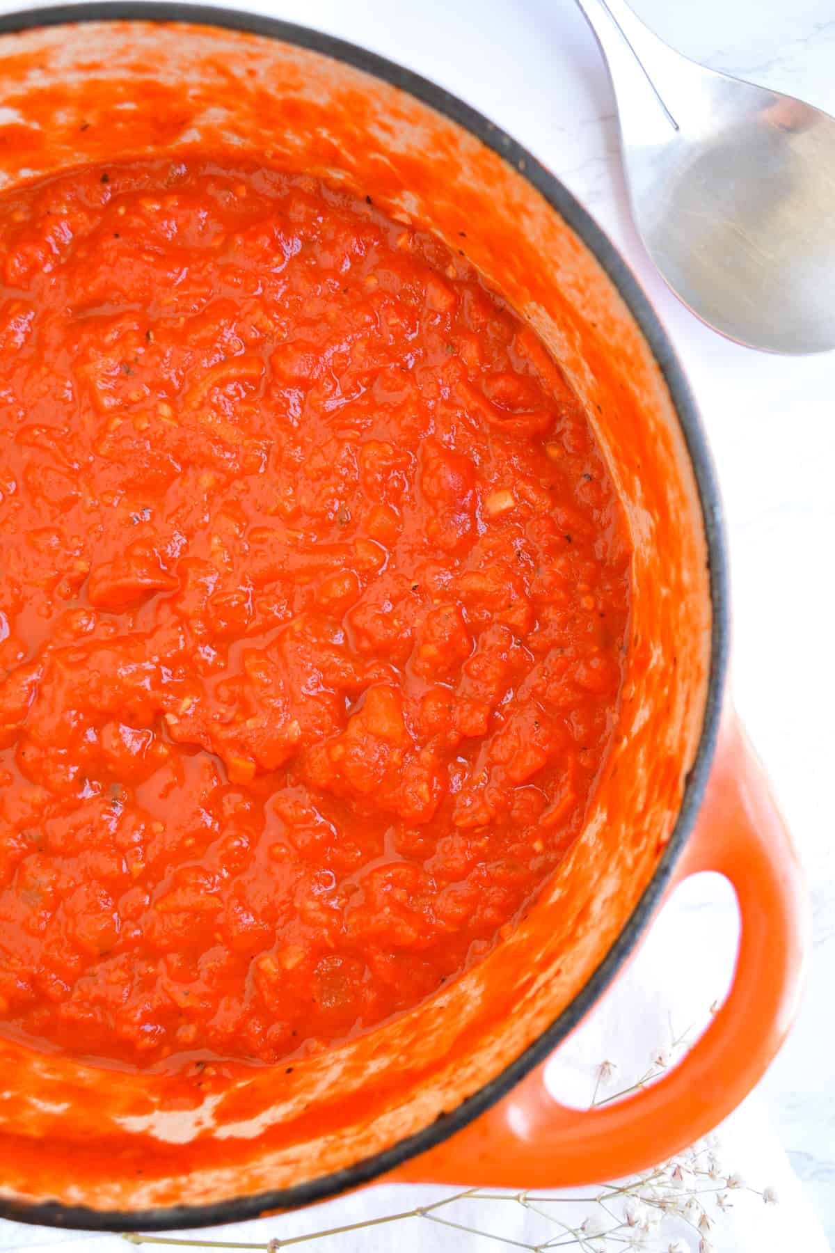 Hearty marinara sauce in a dutch oven