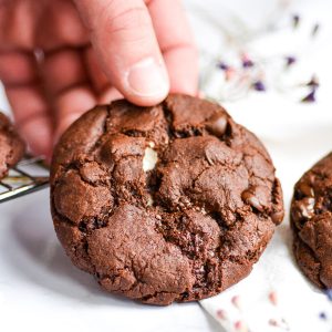 feature image of hand holding a vegan dark chocolate marshmallow cookie