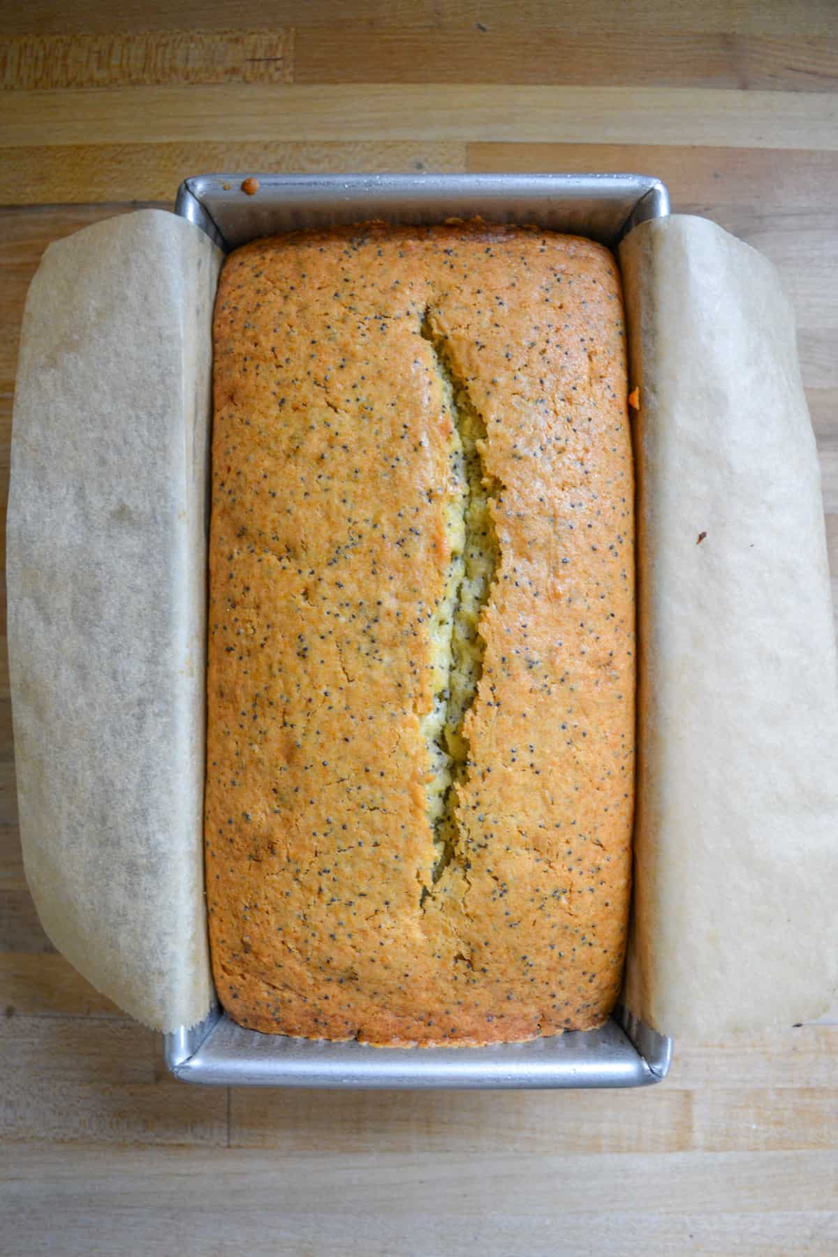 Baked Vegan Lemon Poppy Seed Pound Cake Loaf in the loaf pan.