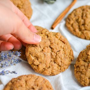 Hand holding an oatmeal snickerdoodle cookie