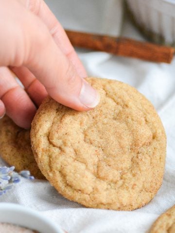 hand holding a vegan snickerdoodle cookie