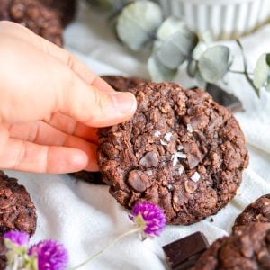 Hand holding a vegan chocolate oatmeal cookie