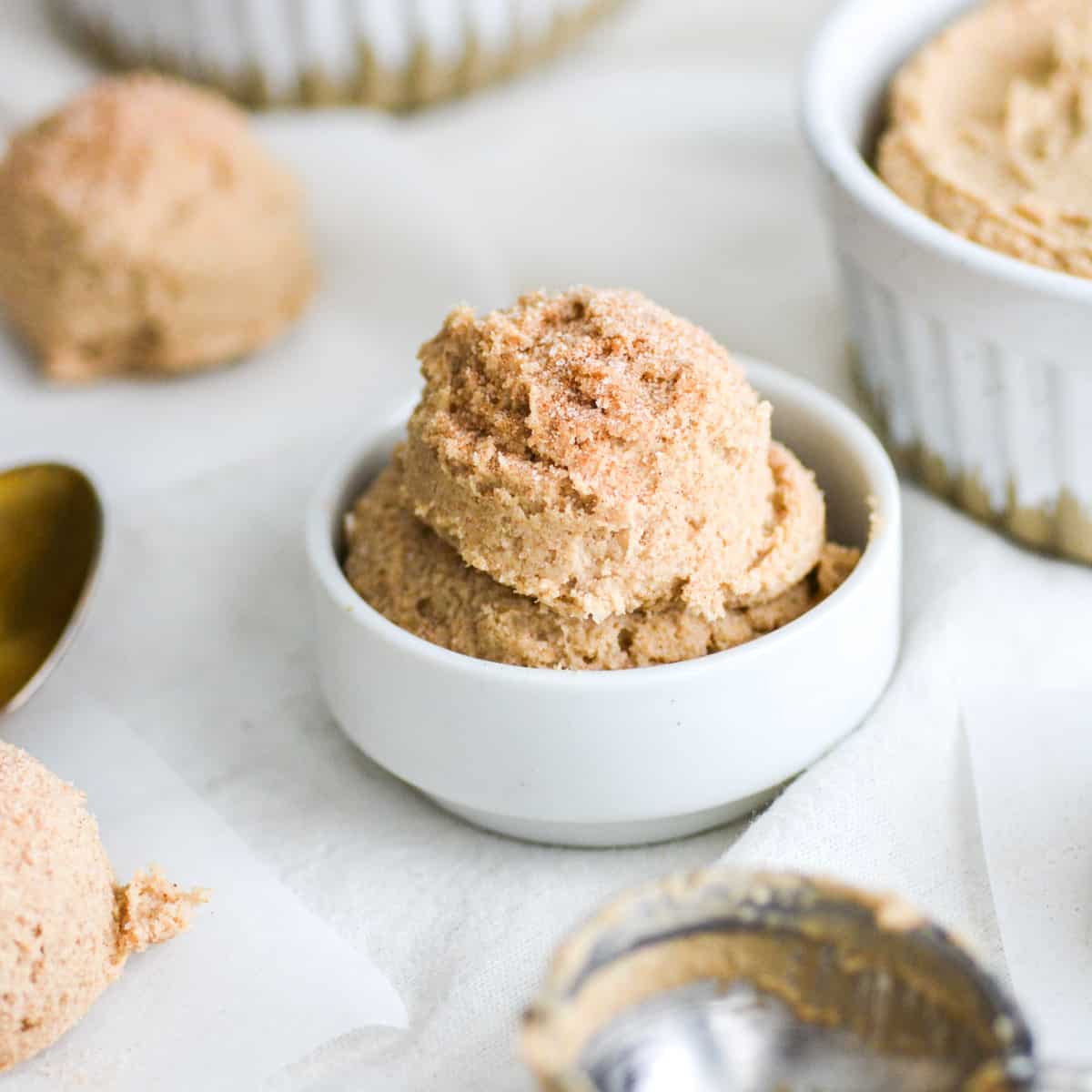Edible Snickerdoodle Cookie Dough GF! Earthly Provisions