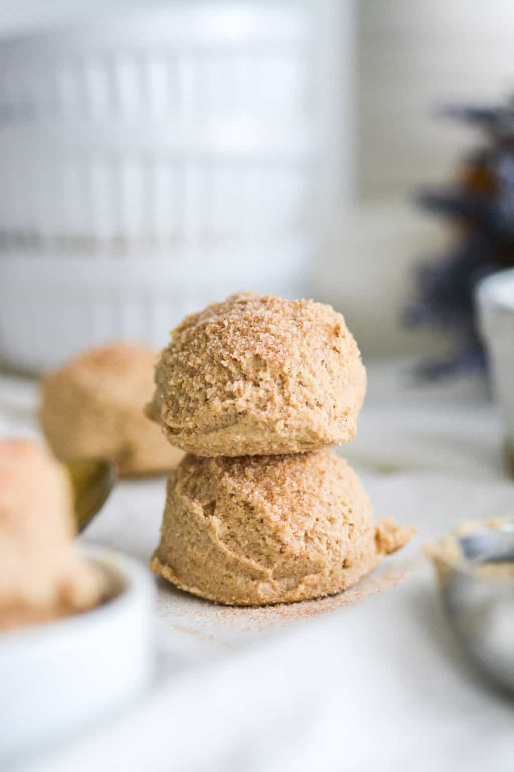 Edible Snickerdoodle Cookie Dough GF! Earthly Provisions
