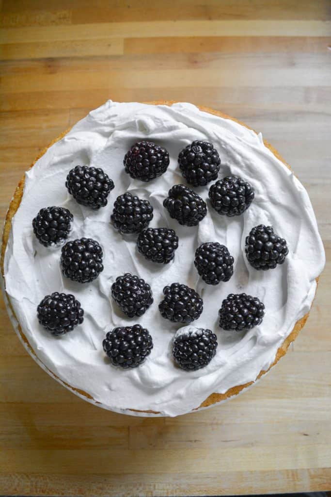 Blackberries on top of vegan whipped cream