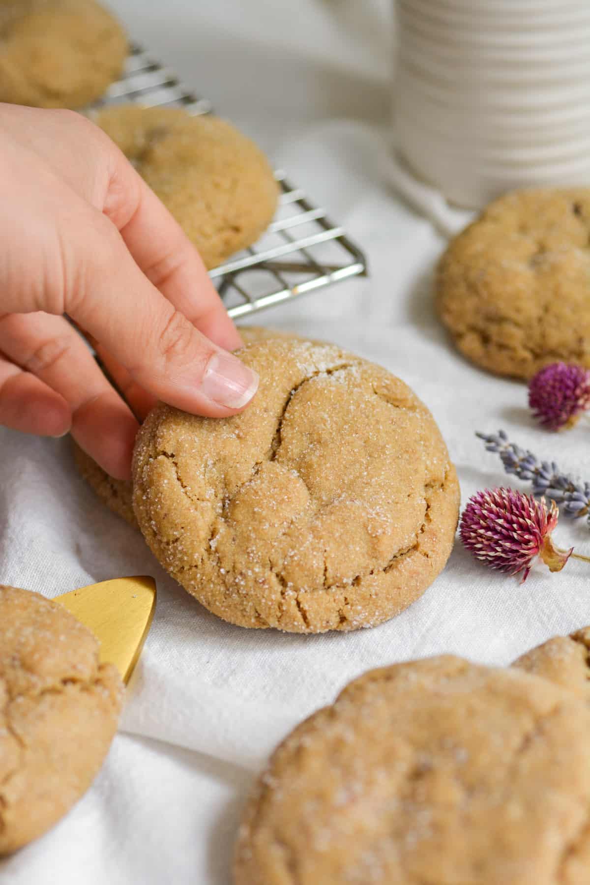 Hand holding a Vegan Biscofff Cookie Butter Stuffed Sugar Cookie