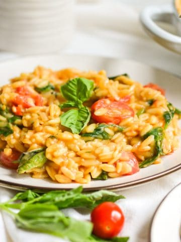 a plate of orzotto garnished with a basil sprig