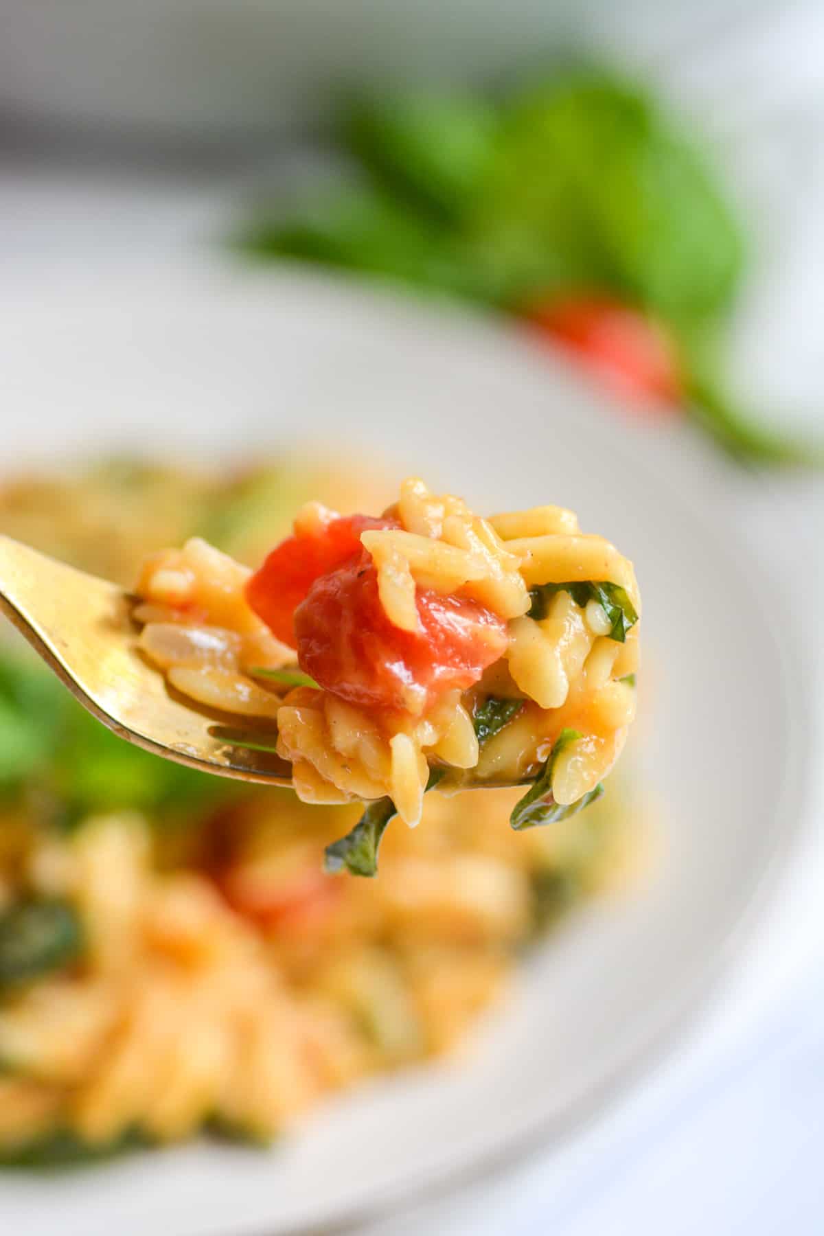 a forkful of vegan orzo