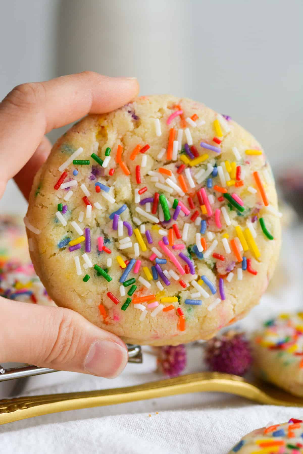 Hand holding an eggless and dairy-free vegan funfetti cookie.