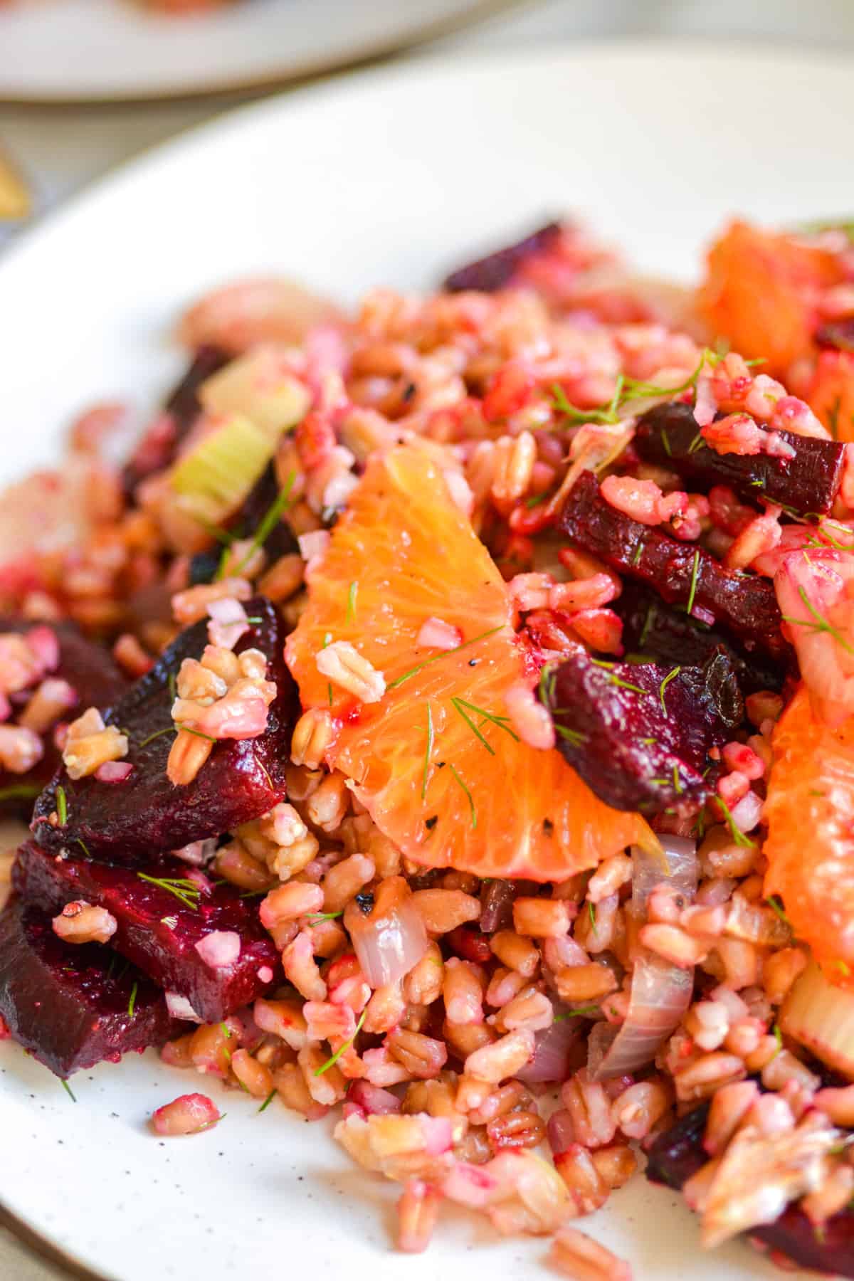 Close up of Vegan and Vegetarian Winter Farro Salad with beets.