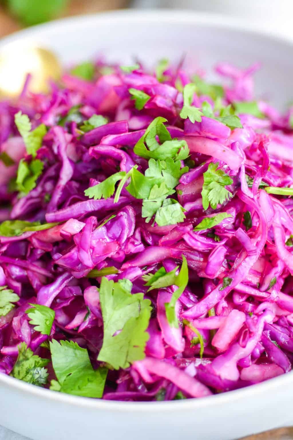 Cilantro Lime Red Cabbage Slaw (perfect for tacos!)- Earthly Provisions