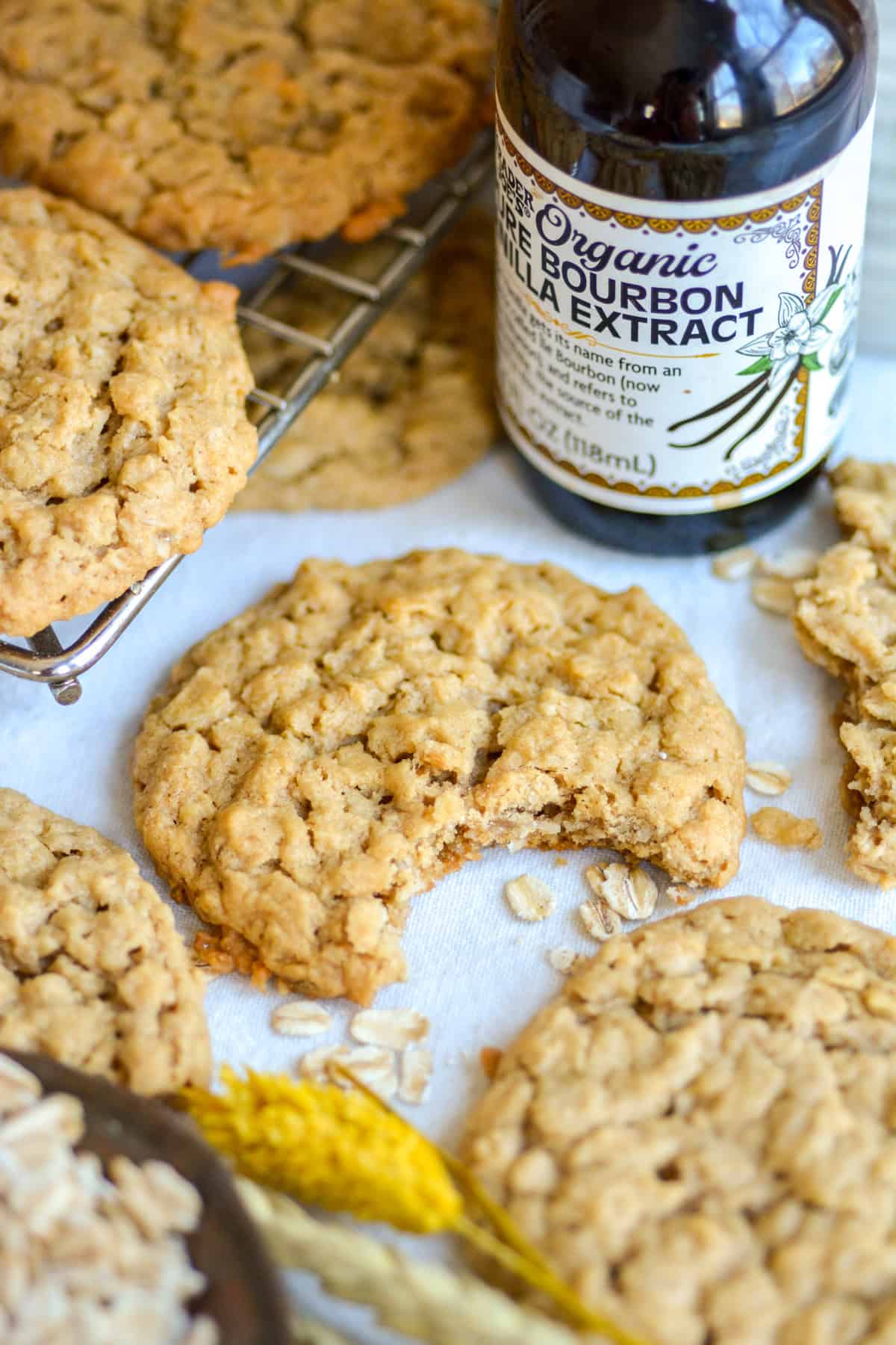 A Vegan Peanut Butter Oatmeal Cookie with a bite taken out of it.