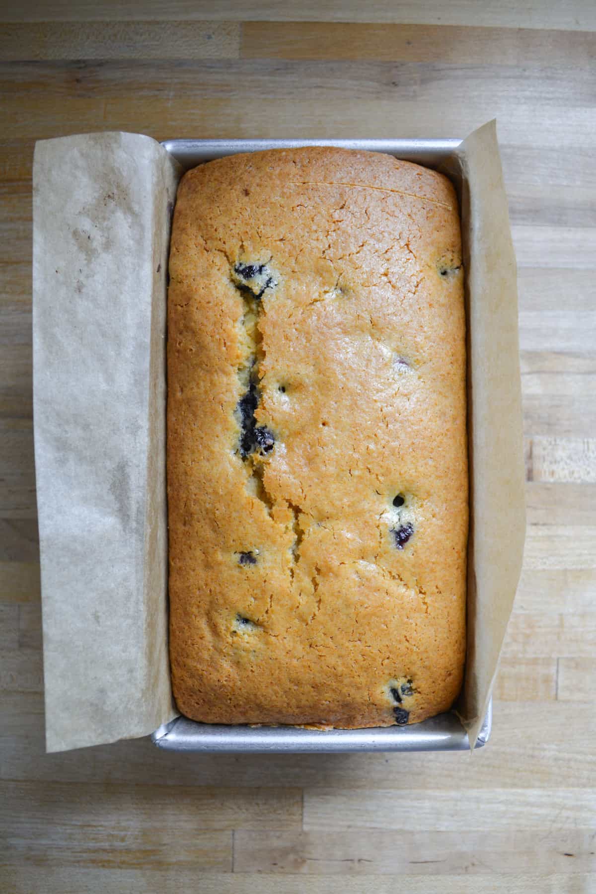 Baked Vegan Blueberry Lemon Cake in the loaf pan.