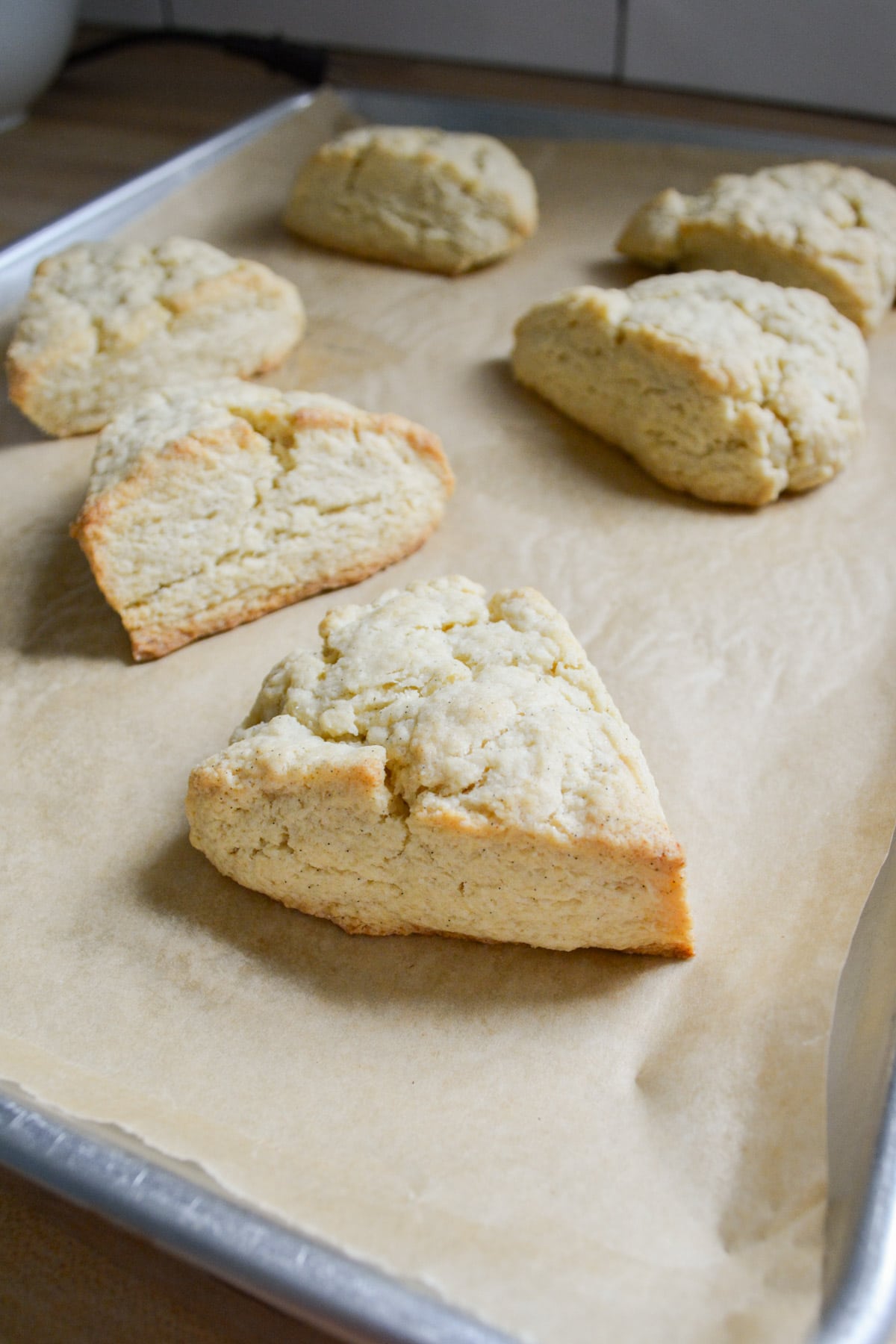 Baked vegan vanilla bean scones on a baking sheet ready to be topped with glaze.