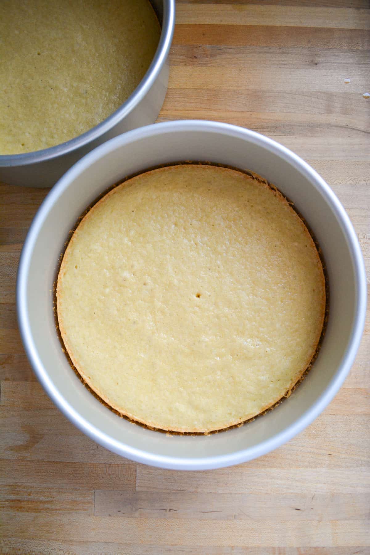 Baked cakes in their cake pans.