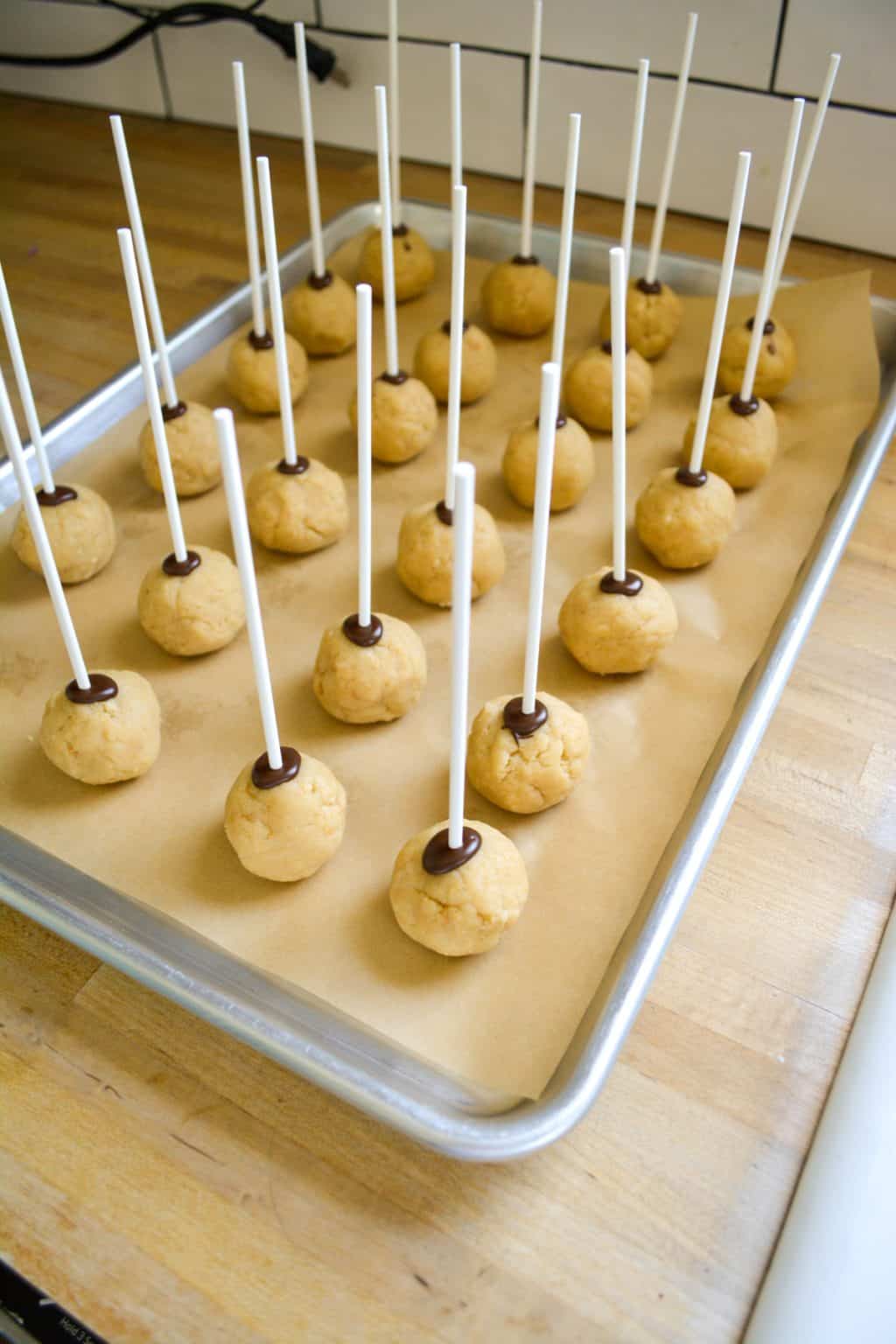 Vegan Cake Pops Recipe (Better Than Starbucks!)- Earthly Provisions