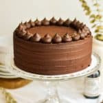 Vegan Chocolate Cake on a glass cake stand.