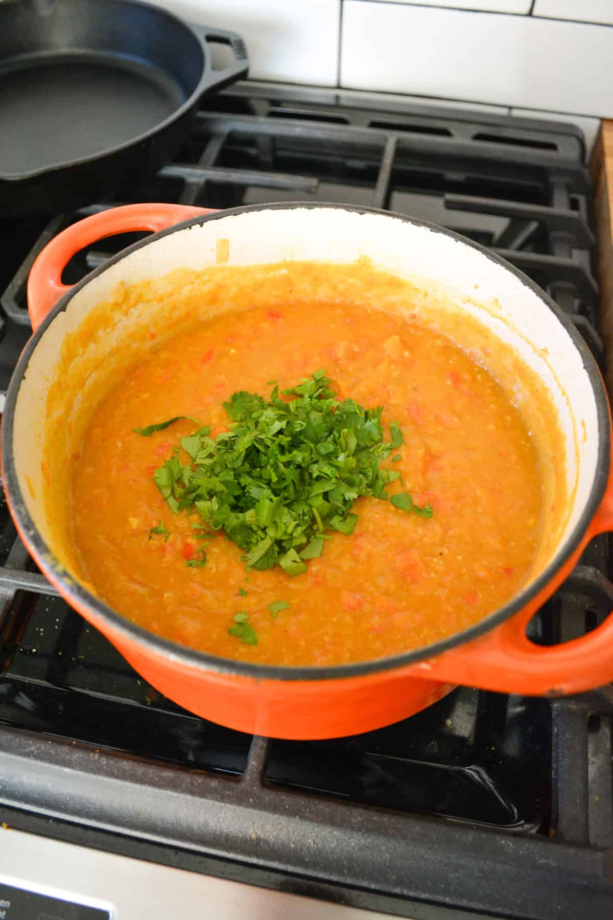 Blended soup topped with cilantro.