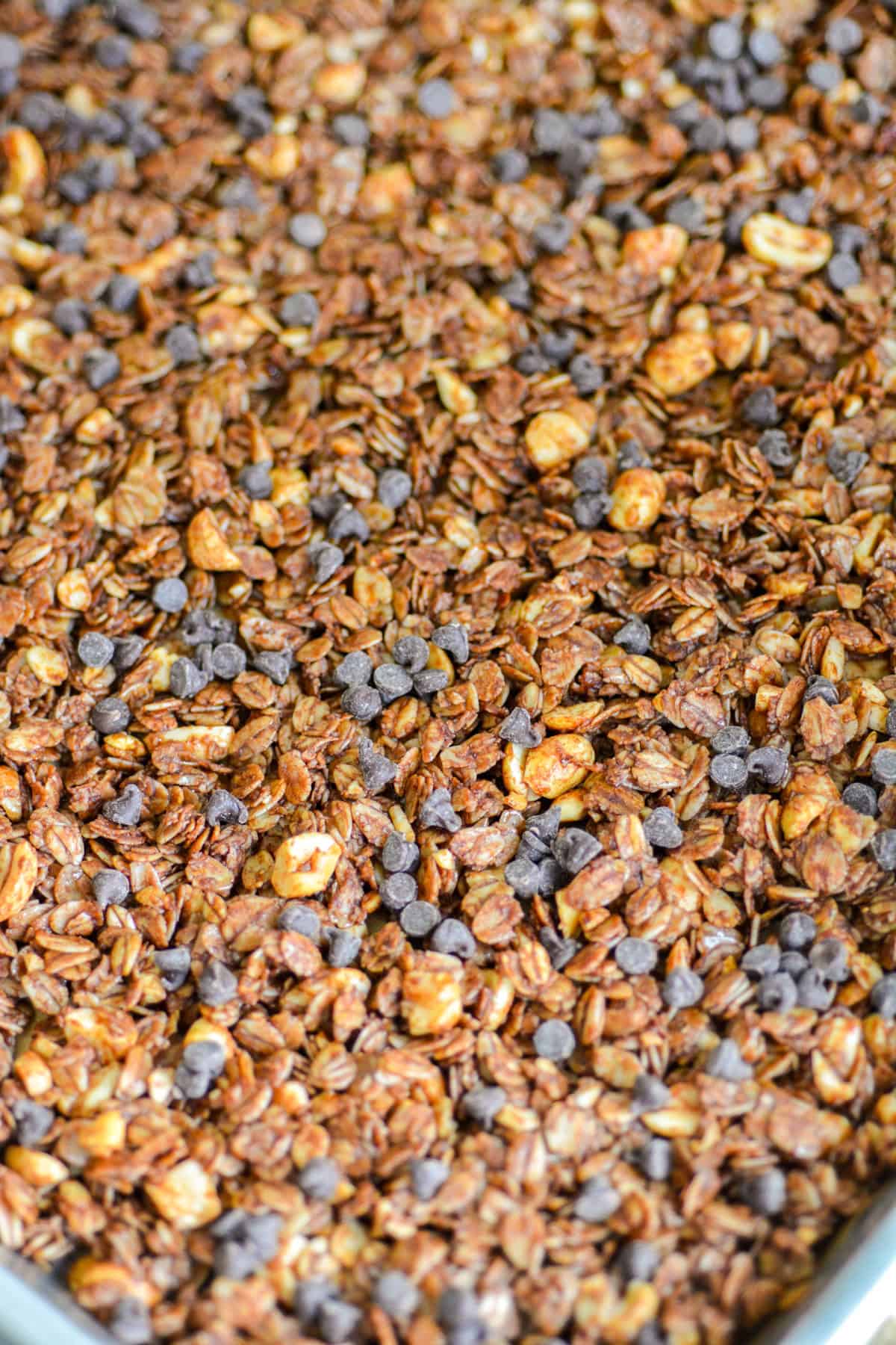 Dark Chocolate Granola topped with chocolate chips on a sheet pan.