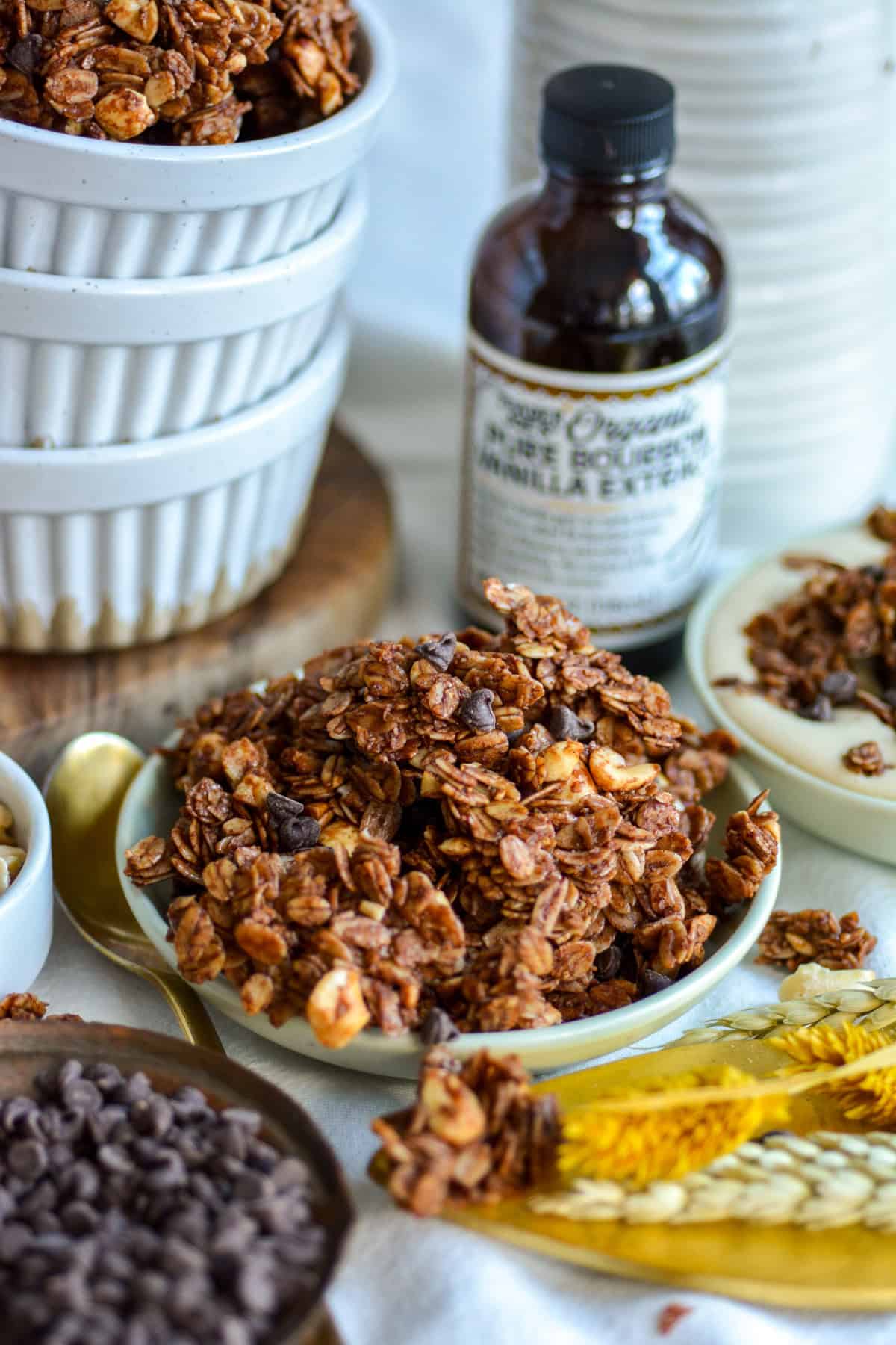 Dark Chocolate Granola in a small bowl.