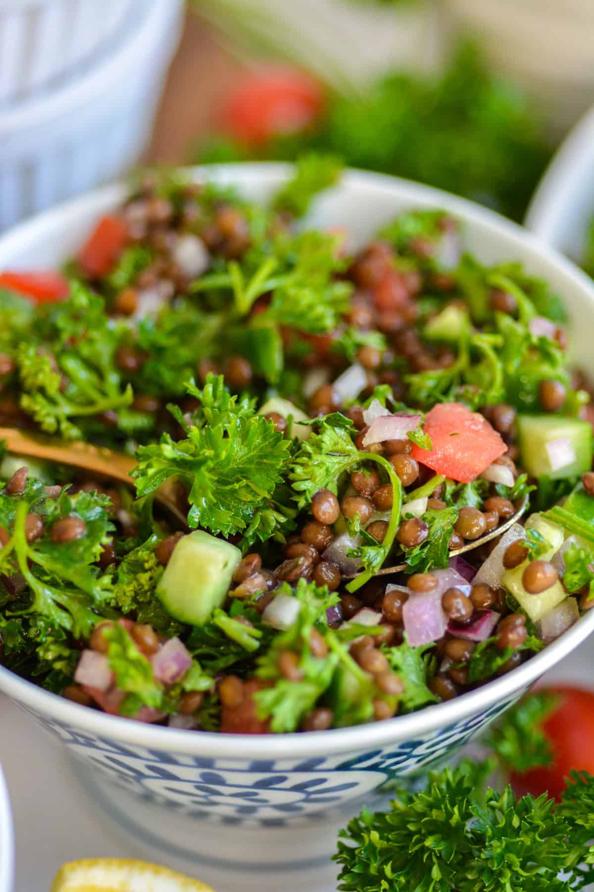 Close up of Mediterranean Black Lentil Salad with parsley and tomatoes in a bowl with a gold spoon.