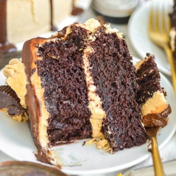 A slice of Chocolate Peanut Butter Cake on a small plate.