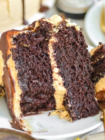A slice of Chocolate Peanut Butter Cake on a small plate.