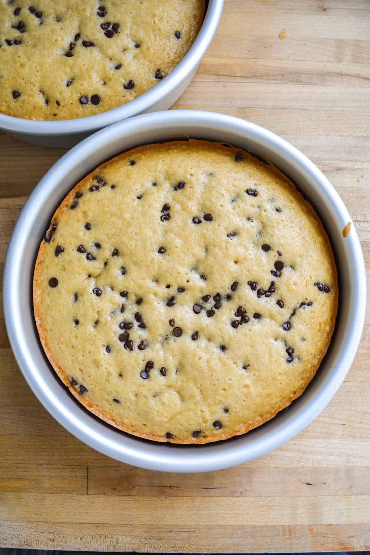 A baked cake layer in a round cake pan.