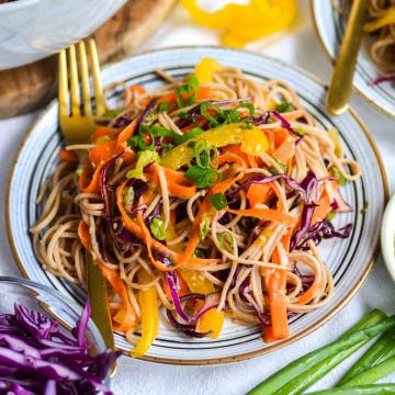 Soba Noodle Salad on a plate with a gold fork.