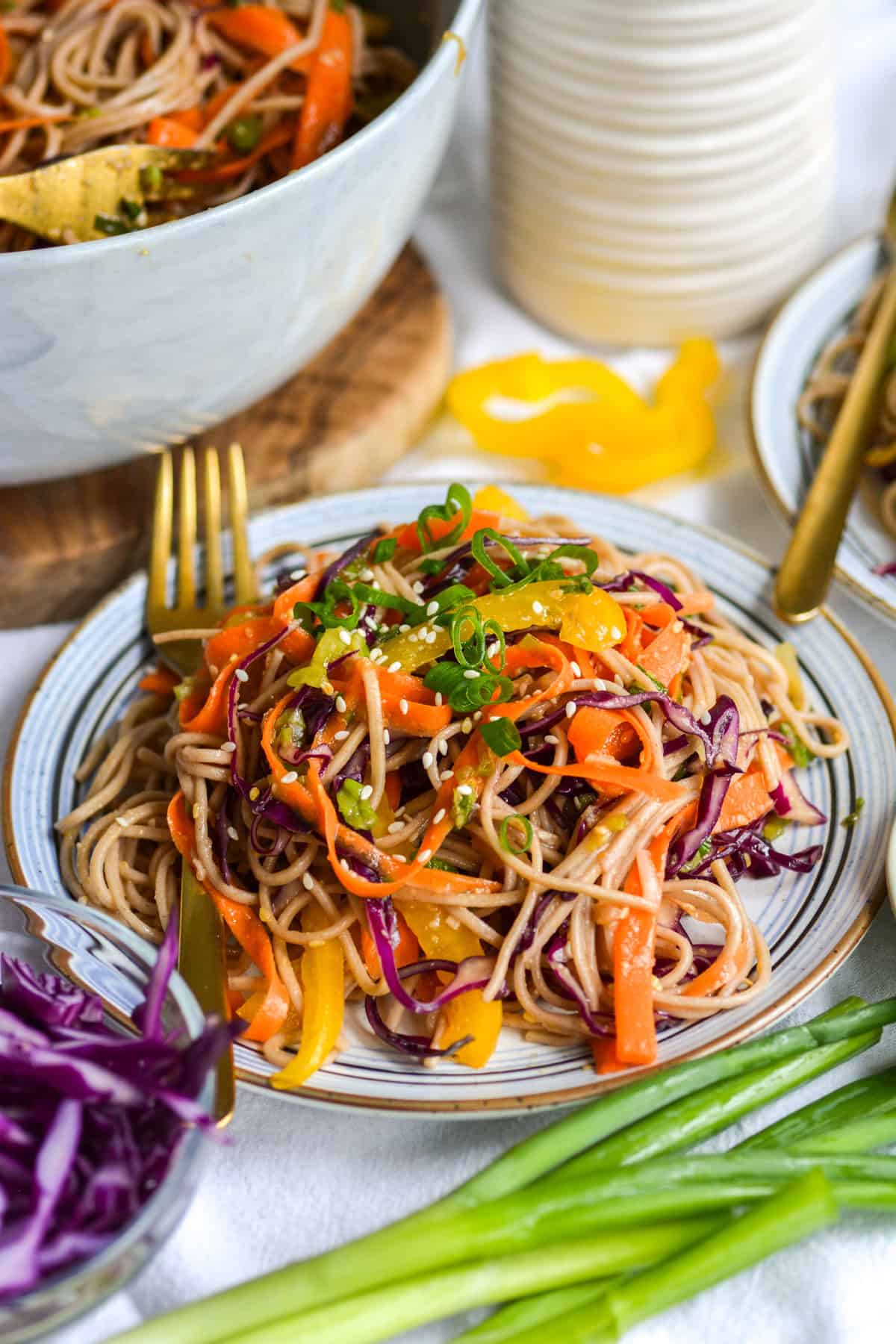 Soba Noodle Salad topped with scallions on a plate.